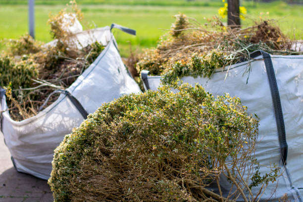 Shed Removal in White Rock, NM